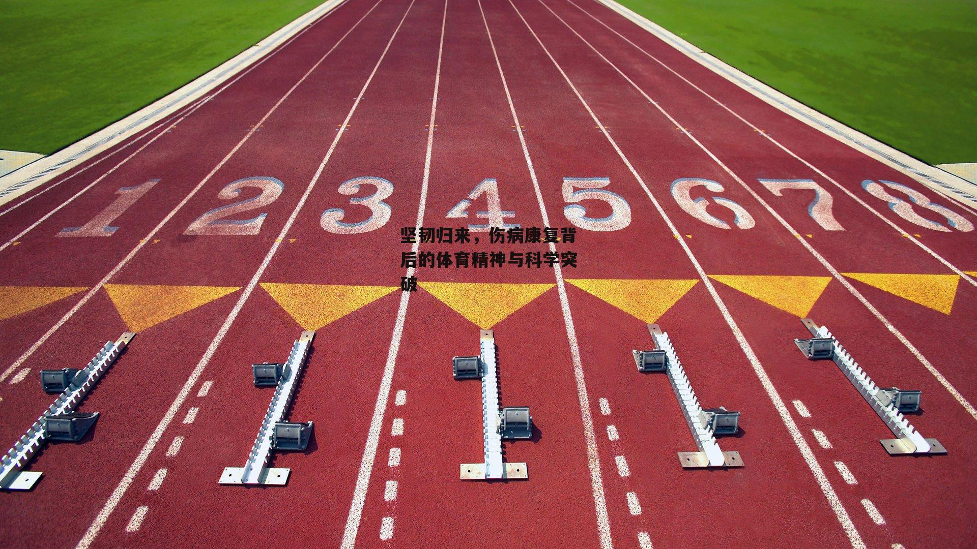 坚韧归来，伤病康复背后的体育精神与科学突破